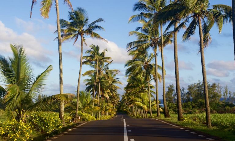 Road in Mauritius