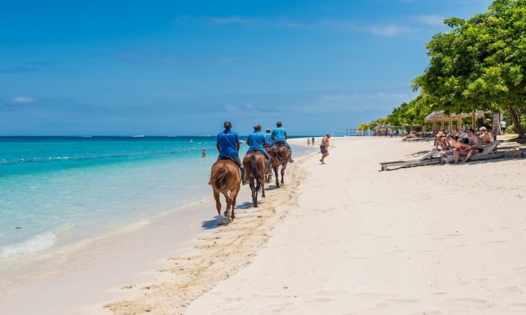 Horse riding in Mauritius