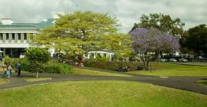 University of Mauritius